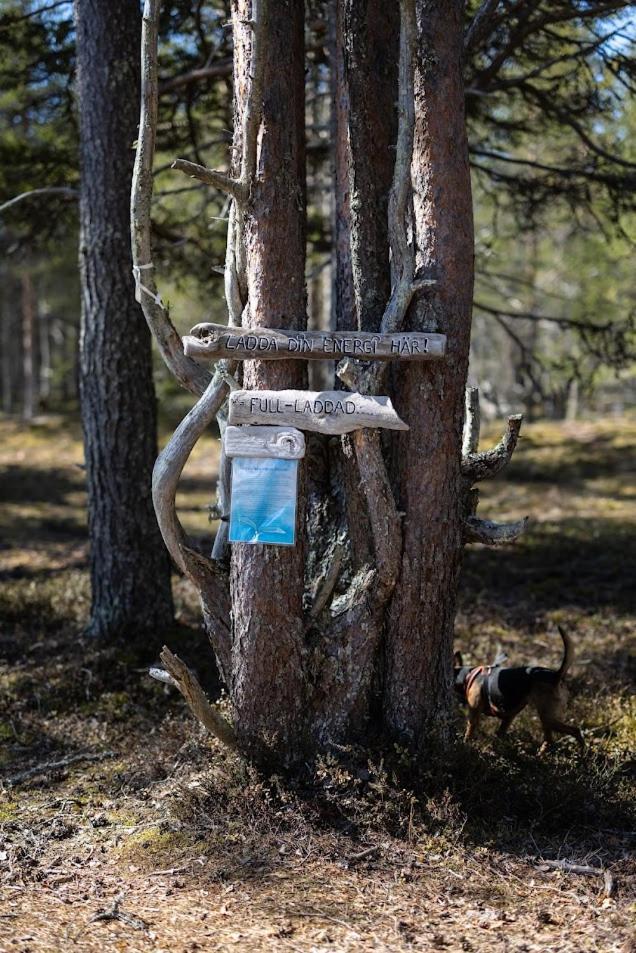 Nordic Lapland Frevisoeren Hotel Batskarsnas Luaran gambar