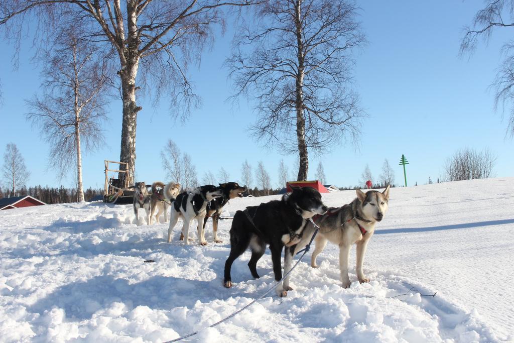 Nordic Lapland Frevisoeren Hotel Batskarsnas Luaran gambar